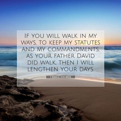 Picture 07 - 1 Kings 3:14 WEB - If you will walk in my ways, to keep my statutes - Bible Verse Picture