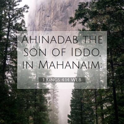 Picture 07 - 1 Kings 4:14 WEB - Ahinadab the son of Iddo, in - Bible Verse Picture