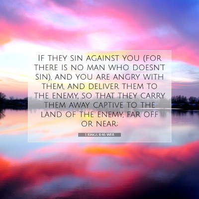 Picture 07 - 1 Kings 8:46 WEB - If they sin against you (for there is no man who - Bible Verse Picture