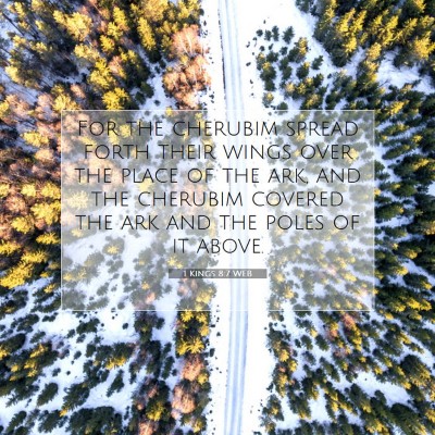 Picture 07 - 1 Kings 8:7 WEB - For the cherubim spread forth their wings over - Bible Verse Picture