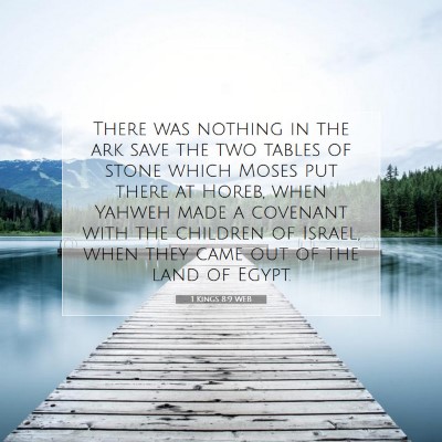 Picture 07 - 1 Kings 8:9 WEB - There was nothing in the ark save the two tables - Bible Verse Picture