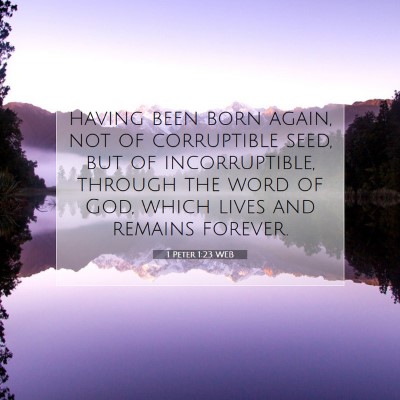 Picture 07 - 1 Peter 1:23 WEB - having been born again, not of corruptible seed, - Bible Verse Picture