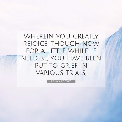 Picture 07 - 1 Peter 1:6 WEB - Wherein you greatly rejoice, though now for a - Bible Verse Picture