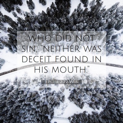 Picture 07 - 1 Peter 2:22 WEB - who did not sin, 