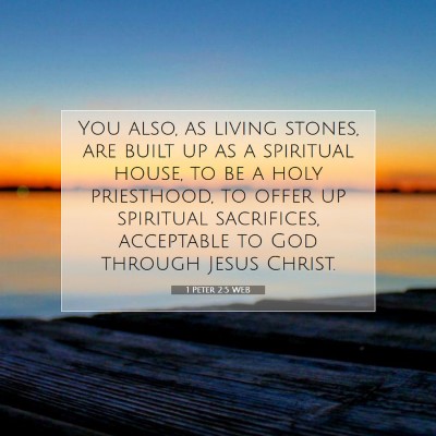 Picture 07 - 1 Peter 2:5 WEB - You also, as living stones, are built up as a - Bible Verse Picture