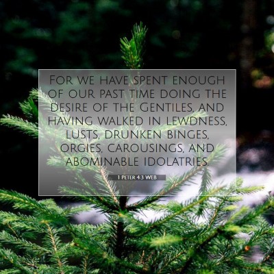 Picture 07 - 1 Peter 4:3 WEB - For we have spent enough of our past time doing - Bible Verse Picture