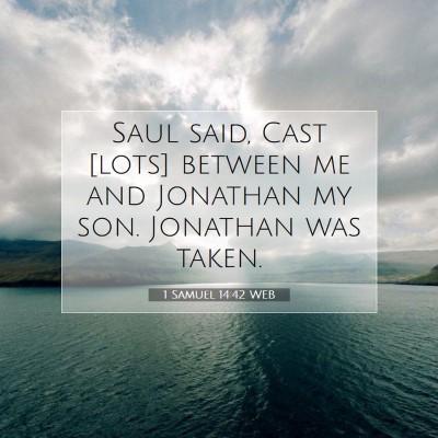 Picture 07 - 1 Samuel 14:42 WEB - Saul said, Cast [lots] between me and Jonathan my - Bible Verse Picture