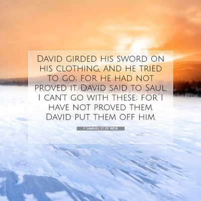 Picture 07 - 1 Samuel 17:39 WEB - David girded his sword on his clothing, and he - Bible Verse Picture