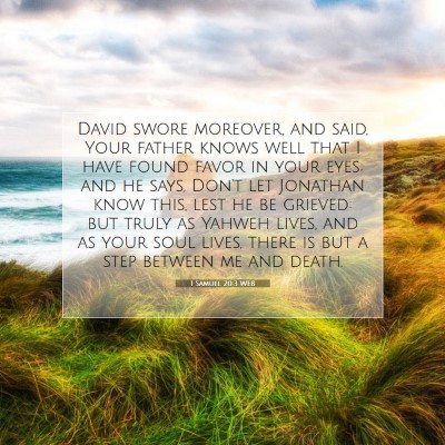 Picture 07 - 1 Samuel 20:3 WEB - David swore moreover, and said, Your father knows - Bible Verse Picture