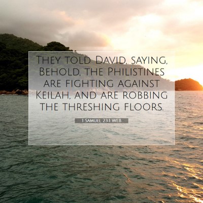 Picture 07 - 1 Samuel 23:1 WEB - They told David, saying, Behold, the Philistines - Bible Verse Picture