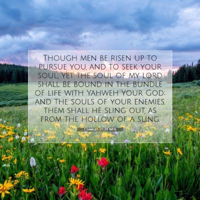 Picture 07 - 1 Samuel 25:29 WEB - Though men be risen up to pursue you, and to seek - Bible Verse Picture