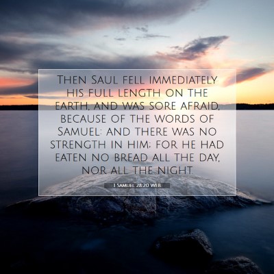 Picture 07 - 1 Samuel 28:20 WEB - Then Saul fell immediately his full length on the - Bible Verse Picture