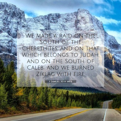 Picture 07 - 1 Samuel 30:14 WEB - We made a raid on the South of the Cherethites, - Bible Verse Picture