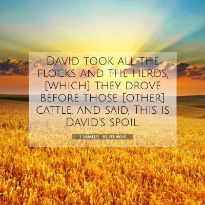 Picture 07 - 1 Samuel 30:20 WEB - David took all the flocks and the herds, [which] - Bible Verse Picture