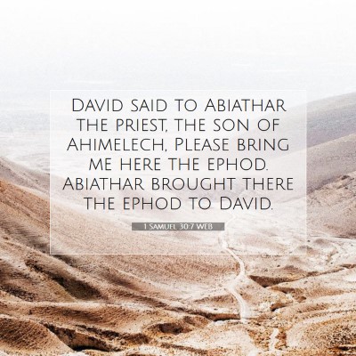 Picture 07 - 1 Samuel 30:7 WEB - David said to Abiathar the priest, the son of - Bible Verse Picture