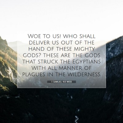 Picture 07 - 1 Samuel 4:8 WEB - Woe to us! who shall deliver us out of the hand - Bible Verse Picture