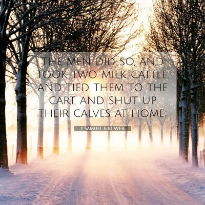 Picture 07 - 1 Samuel 6:10 WEB - The men did so, and took two milk cattle, and - Bible Verse Picture