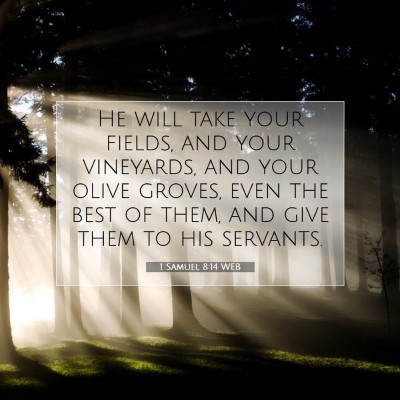 Picture 07 - 1 Samuel 8:14 WEB - He will take your fields, and your vineyards, and - Bible Verse Picture