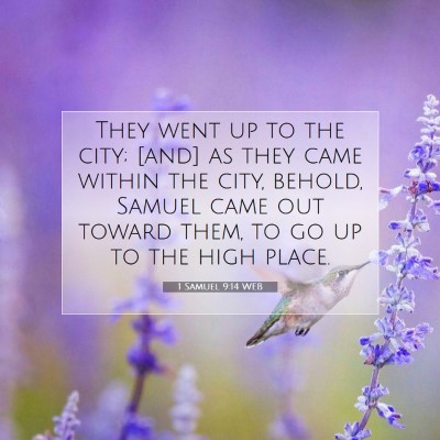 Picture 07 - 1 Samuel 9:14 WEB - They went up to the city; [and] as they came - Bible Verse Picture