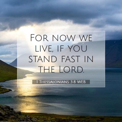 Picture 07 - 1 Thessalonians 3:8 WEB - For now we live, if you stand fast in the - Bible Verse Picture