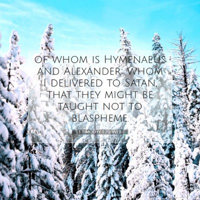 Picture 07 - 1 Timothy 1:20 WEB - of whom is Hymenaeus and Alexander; whom I - Bible Verse Picture