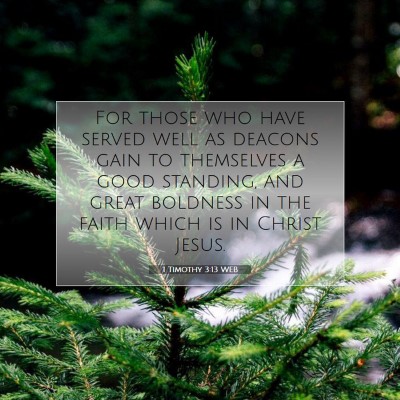 Picture 07 - 1 Timothy 3:13 WEB - For those who have served well as deacons gain to - Bible Verse Picture