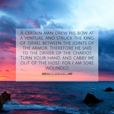 Picture 07 - 2 Chronicles 18:33 WEB - A certain man drew his bow at a venture, and - Bible Verse Picture