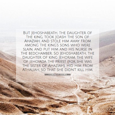 Picture 07 - 2 Chronicles 22:11 WEB - But Jehoshabeath, the daughter of the king, took - Bible Verse Picture
