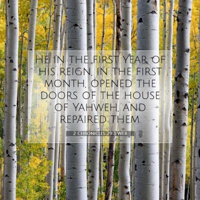 Picture 07 - 2 Chronicles 29:3 WEB - He in the first year of his reign, in the first - Bible Verse Picture