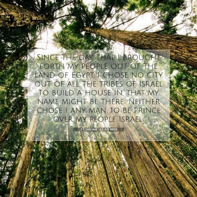 Picture 07 - 2 Chronicles 6:5 WEB - Since the day that I brought forth my people out - Bible Verse Picture