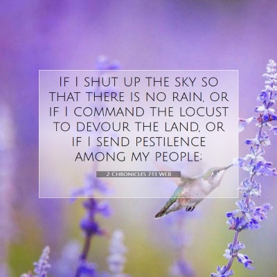 Picture 07 - 2 Chronicles 7:13 WEB - If I shut up the sky so that there is no rain, or - Bible Verse Picture