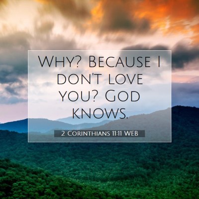 Picture 07 - 2 Corinthians 11:11 WEB - Why? Because I don't love you? God - Bible Verse Picture