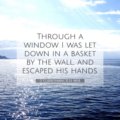 Picture 07 - 2 Corinthians 11:33 WEB - Through a window I was let down in a basket by - Bible Verse Picture