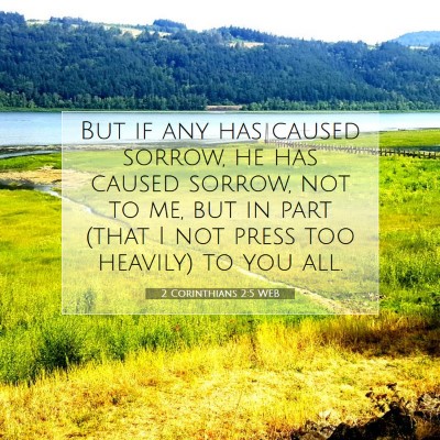 Picture 07 - 2 Corinthians 2:5 WEB - But if any has caused sorrow, he has caused - Bible Verse Picture