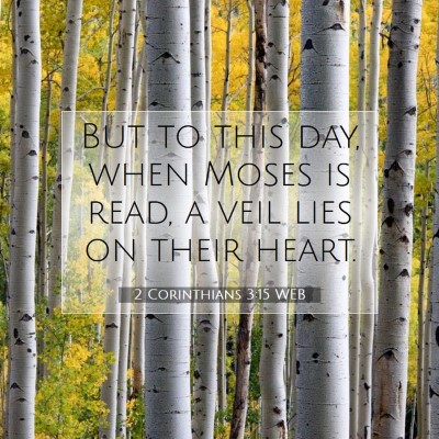 Picture 07 - 2 Corinthians 3:15 WEB - But to this day, when Moses is read, a veil lies - Bible Verse Picture