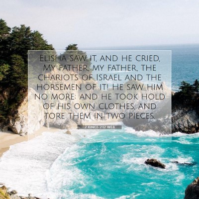 Picture 07 - 2 Kings 2:12 WEB - Elisha saw it, and he cried, My father, my - Bible Verse Picture