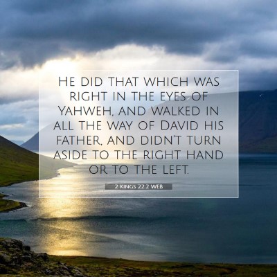 Picture 07 - 2 Kings 22:2 WEB - He did that which was right in the eyes of - Bible Verse Picture