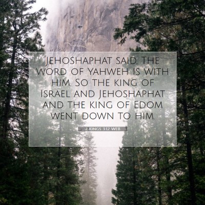 Picture 07 - 2 Kings 3:12 WEB - Jehoshaphat said, The word of Yahweh is with him. - Bible Verse Picture