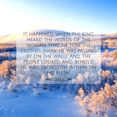 Picture 07 - 2 Kings 6:30 WEB - It happened, when the king heard the words of the - Bible Verse Picture