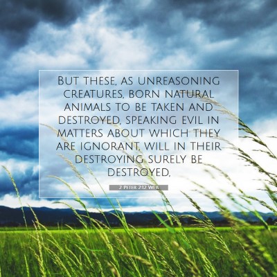 Picture 07 - 2 Peter 2:12 WEB - But these, as unreasoning creatures, born natural - Bible Verse Picture