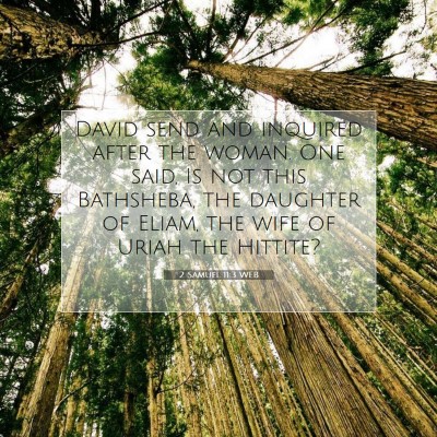 Picture 07 - 2 Samuel 11:3 WEB - David send and inquired after the woman. One - Bible Verse Picture