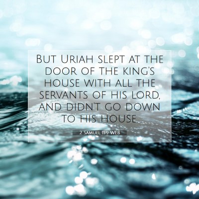 Picture 07 - 2 Samuel 11:9 WEB - But Uriah slept at the door of the king's house - Bible Verse Picture