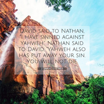 Picture 07 - 2 Samuel 12:13 WEB - David said to Nathan, 