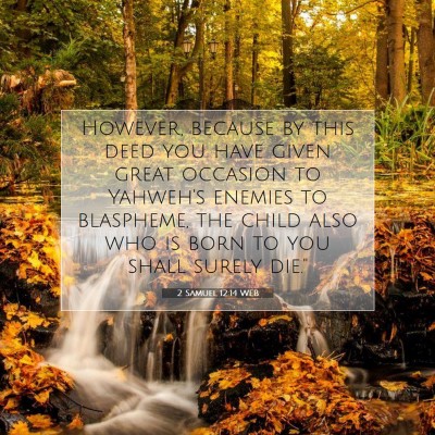 Picture 07 - 2 Samuel 12:14 WEB - However, because by this deed you have given - Bible Verse Picture