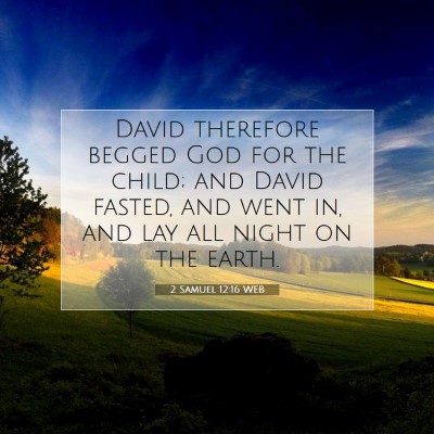 Picture 07 - 2 Samuel 12:16 WEB - David therefore begged God for the child; and - Bible Verse Picture