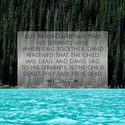 Picture 07 - 2 Samuel 12:19 WEB - But when David saw that his servants were - Bible Verse Picture