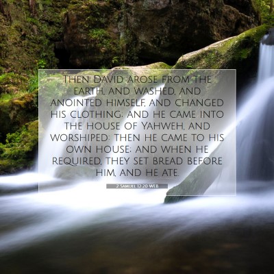 Picture 07 - 2 Samuel 12:20 WEB - Then David arose from the earth, and washed, and - Bible Verse Picture