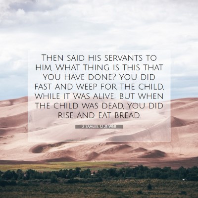 Picture 07 - 2 Samuel 12:21 WEB - Then said his servants to him, What thing is this - Bible Verse Picture