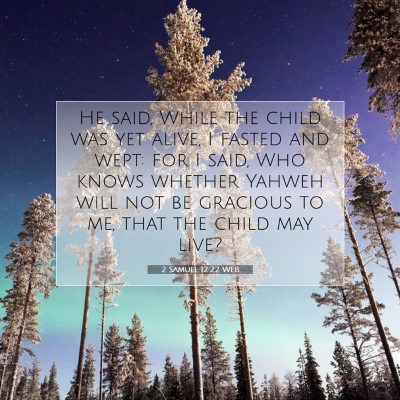 Picture 07 - 2 Samuel 12:22 WEB - He said, While the child was yet alive, I fasted - Bible Verse Picture