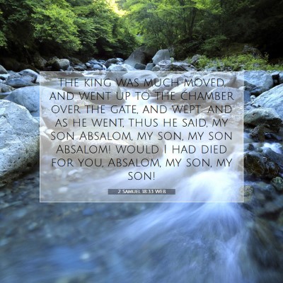 Picture 07 - 2 Samuel 18:33 WEB - The king was much moved, and went up to the - Bible Verse Picture